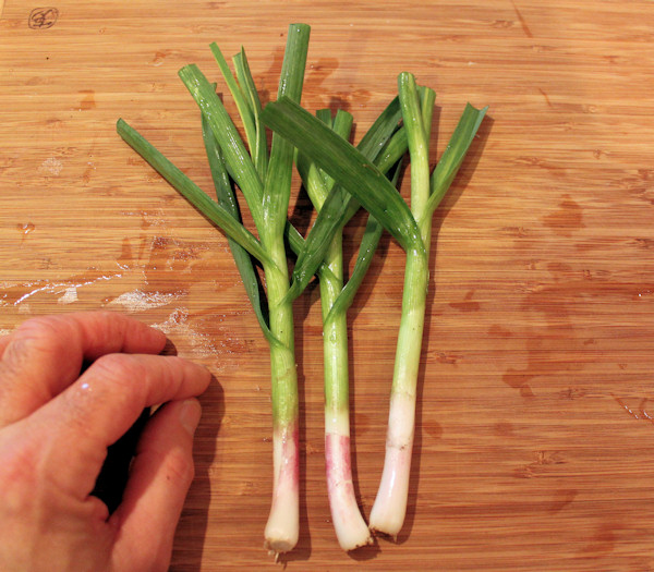 Planting Green Garlic | Happy Acres Blog
